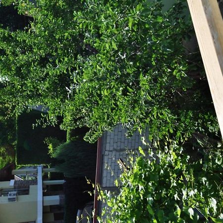 מלון אודסה Dacha V Arkadii מראה חיצוני תמונה