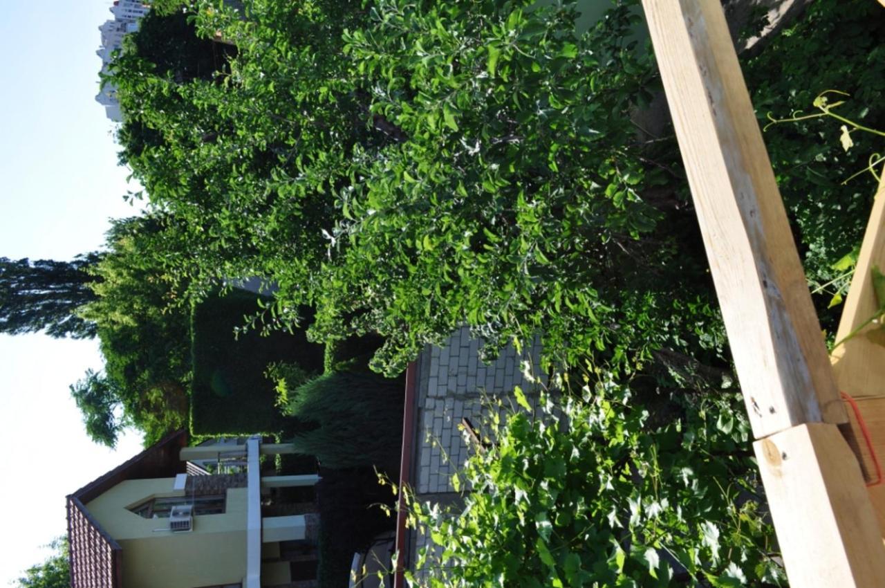 מלון אודסה Dacha V Arkadii מראה חיצוני תמונה